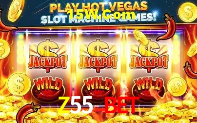 Z55 Bet Rio de Janeiro - Licenses