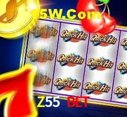 Z55 Bet Rio de Janeiro - Slot Strategy