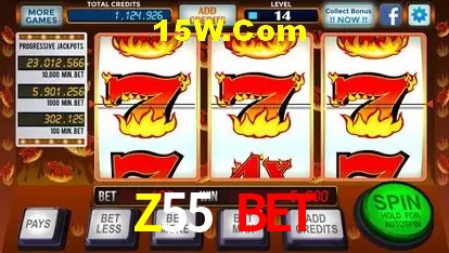 Z55 Bet - Login Methods