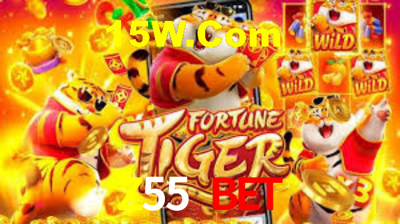 Z55 Bet - App Security