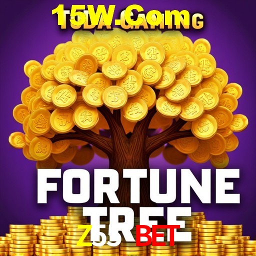 A Experiência Imersiva dos Cassinos Ao Vivo no Z55 Bet